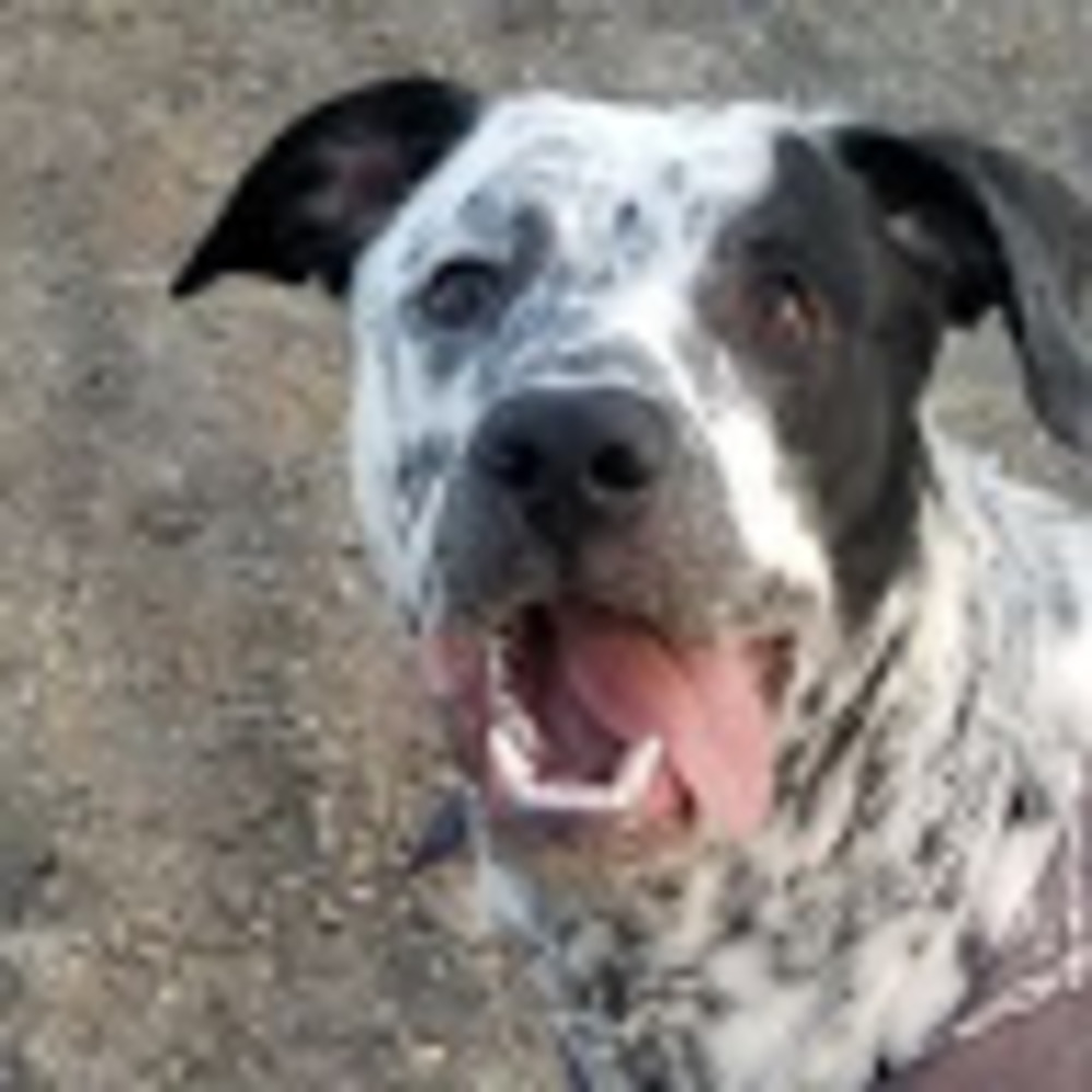 Meet your Posher, Tay